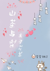山茶君小说
